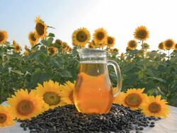 HD Sunflower oil Stock Footage