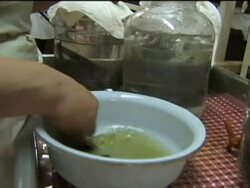 Leech farm and leech treatment News Clip