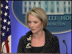 Governor Arnold Schwarzenegger announced Friday he has signed an executive order to help speed up recovery efforts in the aftermath of the wildfires in California. Instructional Video