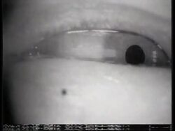 USA/SPACE: ASTRONAUTS ABOARD COLUMBIA CONDUCT MOTION TESTS News Clip