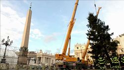 CLEAN : Giant Christmas tree News Clip