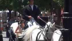 Barcelona football player Ivan Rakitic and Raquel Mauri get married at Sevilla cathedral Stock Footage