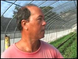 A look at the urban farming projects which supplies 350,000 jobs News Clip