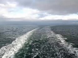 Rear View Stock Footage