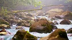 DS Rapids on the river Rio Celeste Stock Footage