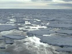 WS, Ice floes on sea, Russia Stock Footage