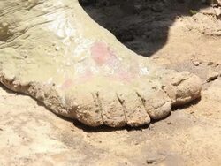 EC Shot of Leg of man digging to reach water / Pilao Arcado, Bahia, Brazil Stock Footage