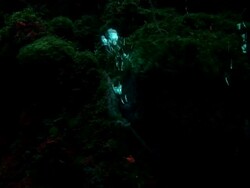 CU of bubbles escaping from hydrothermal vent, Azores, Atlantic Ocean Stock Footage