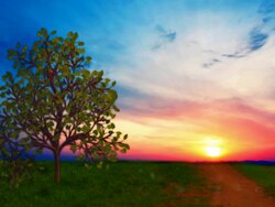 Tree grow at dawn Stock Footage