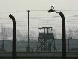 Preparations For The 70th Anniversary Of The Liberation Of Auschwitz-Birkenau Stock Footage