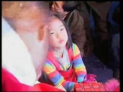 Animals dressed up for Christmas News Clip