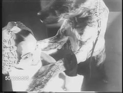 Women's Work Fashions Modeled News Clip