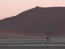 Photographer at base of sand dunes, Sossusvlei, Namib-Naukluft, Namibia Stock Footage