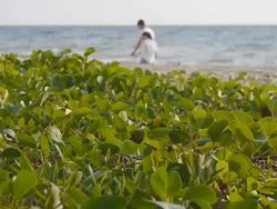 On the beach Stock Footage