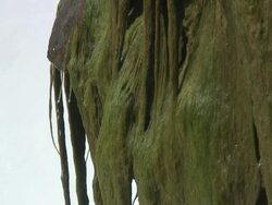 Niagara 7-33s: HD/SD 60i with sound Stock Footage