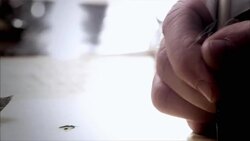 A man writes with a feather quill pen. Stock Footage