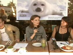 Celebrity Save The Seal Day: Press Conference Hosted by Celebrities Against The Seal Hunt Stock Footage