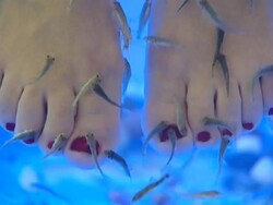 Cosmetic procedures. Stock Footage