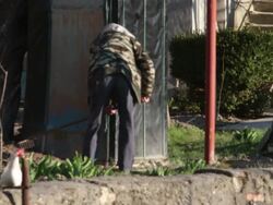 Villager prepares garden using rake as chickens meander in foreground Stock Footage