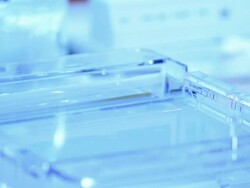 Scientist and bio lab experiment Stock Footage