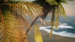 A light breeze blows through the palm trees as two beach chairs and a surfboard sit along the shoreline of the ocean. Stock Footage