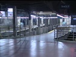 After Tropical Storm Irene forced an unprecedented closure of the nation''s largest mass transit system, New York City subways resumed service Monday with a major test as millions of commuters ventured to work for the first time since the storm hit. News Clip