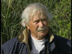 NEW ZEALAND:  MILLENNIUM  SUNRISE News Clip