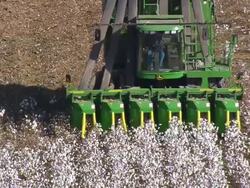 MS AERIAL TD Shot of cotton stripper in Cotton field / North Carolina, United States Stock Footage