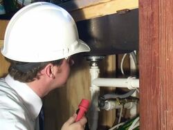 Exterminator Stock Footage