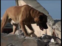 Damaged buildings, rescuers arriving at villages News Clip