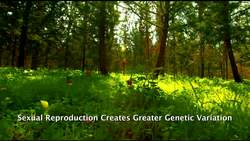 Reproduction in Plants - Sexual and Asexual Instructional Video