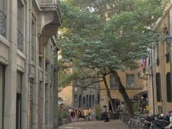 Vieux Lyon,Street scene,Shops,WS Stock Footage