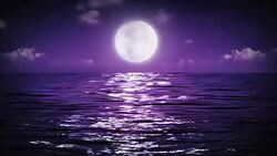 Big Moon at the sea Stock Footage