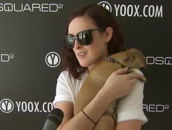 INTERVIEW: Rumer Willis on being a part of the afternoon... (Footage by WireImage Video/GettyImages) Stock Footage