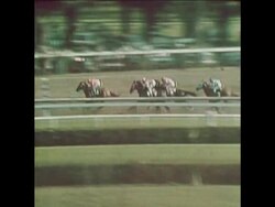 SYND 5-8-73 SECRETARIAT AND ONION FIGHT IT OUT IN THE WHITNEY STAKES Instructional Video