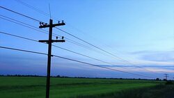telegraph poles. Stock Footage