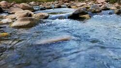 Stream of flowing River Stock Footage