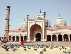 LS Pigeons in the courtyard of the Jama Masjid, a Muslim mosque / Delhi, Punjab, India Stock Footage