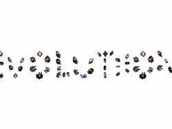 HD: Evolution Stock Footage