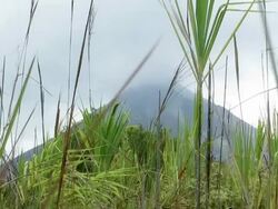 Volcano (PAL) Stock Footage