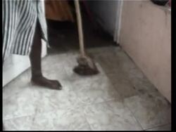 WRAP Caribbean countries braced for hurricane Wilma News Clip