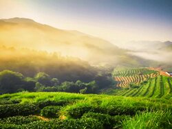 Beautiful sunshine at misty morning mountains at north thailand timelapse Stock Footage