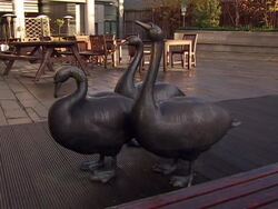 Edinburgh City Stock Shots News Clip