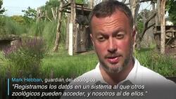 CLEAN : Los animales del zoo de Londres tienen su pesaje anual News Clip