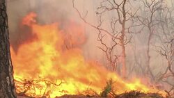 Deadly fire in rural Northern California rages into its seventh day Instructional Video