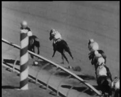 TRAGEDY OF THE TURF News Clip