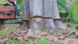 asian man woodcutter cutting down trees with chainsaw Stock Footage