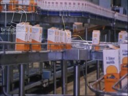 Sweden 1970s - cattle farming, milk, food production and imports Stock Footage