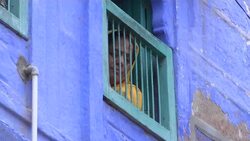 La ciudad azul de India teme convertirse en un arcoíris Instructional Video