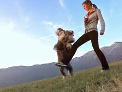 HD Super Slow-Mo: Young Woman Training Her Dog Stock Footage